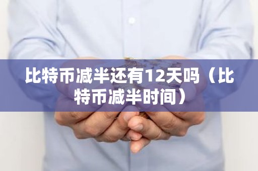 比特币减半还有12天吗（比特币减半时间）