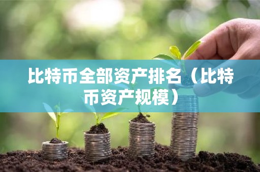 比特币全部资产排名（比特币资产规模）