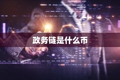政务链是什么币