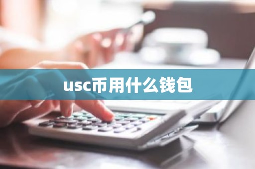 usc币用什么钱包