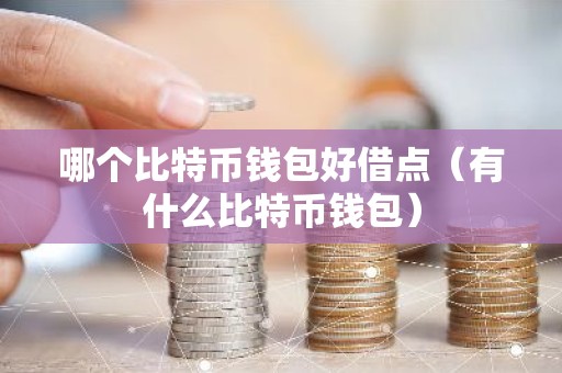 哪个比特币钱包好借点（有什么比特币钱包）