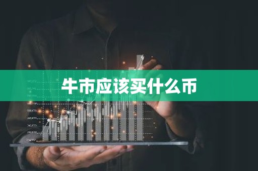 牛市应该买什么币