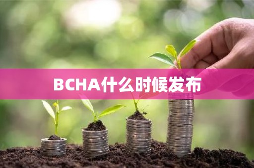 BCHA什么时候发布