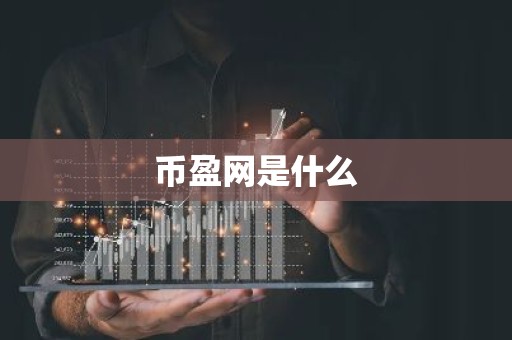 币盈网是什么