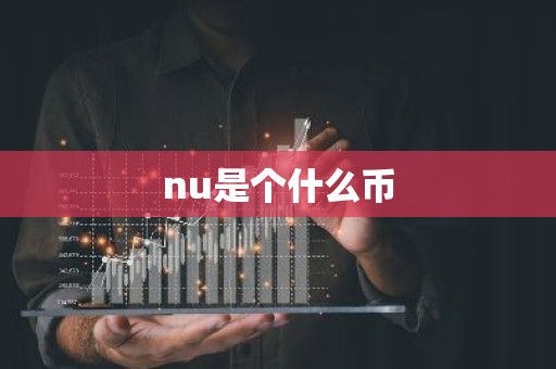 nu是个什么币