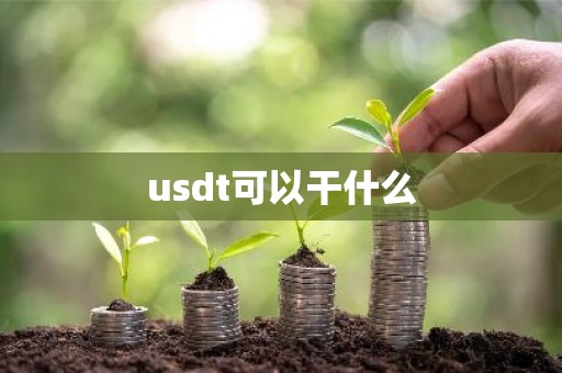 usdt可以干什么