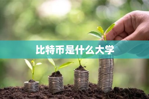 比特币是什么大学