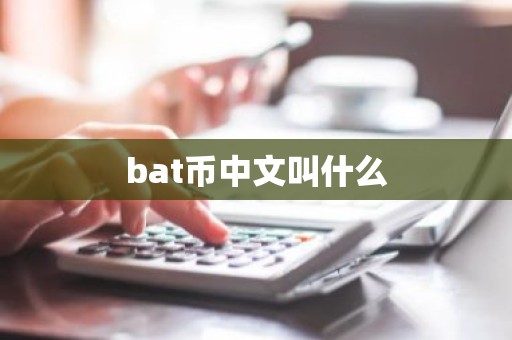 bat币中文叫什么