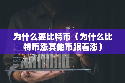为什么要比特币（为什么比特币涨其他币跟着涨）