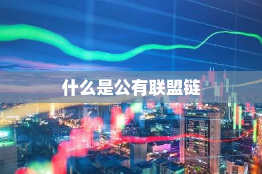 什么是公有联盟链