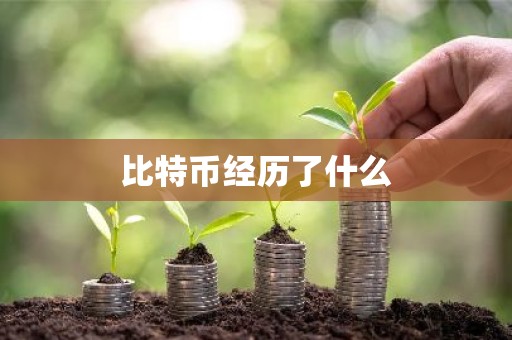 比特币经历了什么
