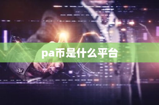 pa币是什么平台
