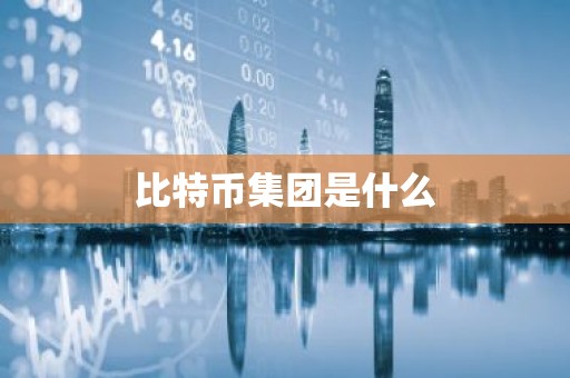 比特币集团是什么