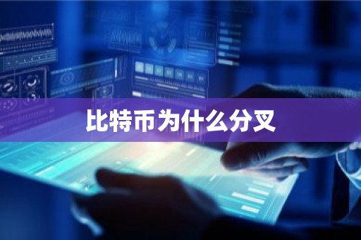 比特币为什么分叉