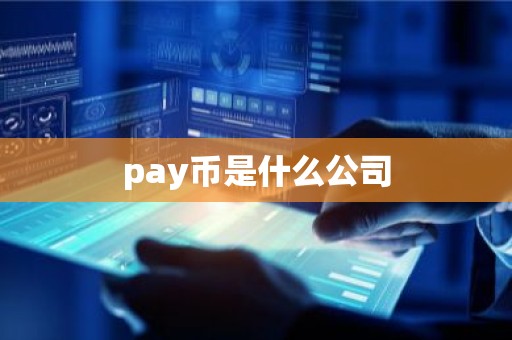 pay币是什么公司