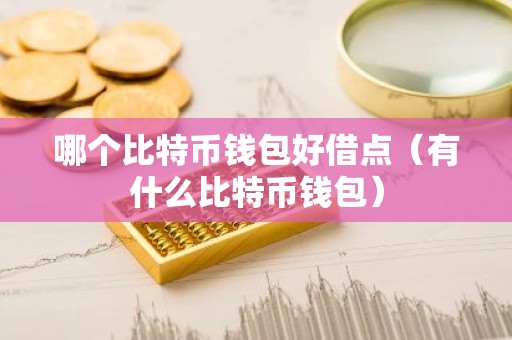 哪个比特币钱包好借点（有什么比特币钱包）