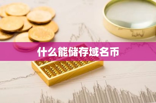 什么能储存域名币