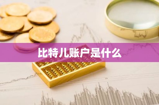 比特儿账户是什么