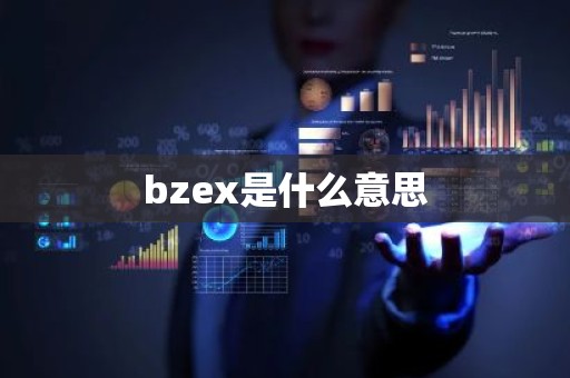 bzex是什么意思