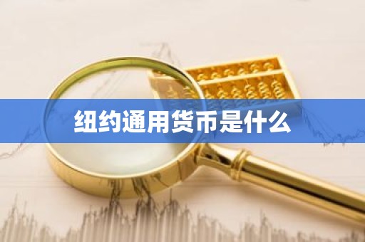 纽约通用货币是什么