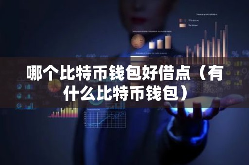 哪个比特币钱包好借点（有什么比特币钱包）