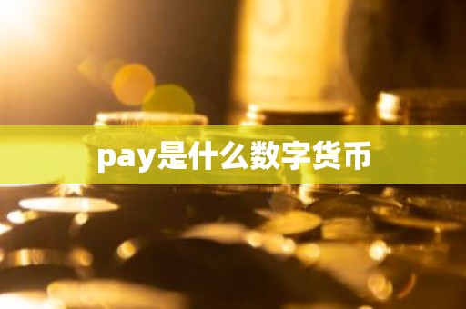 pay是什么数字货币