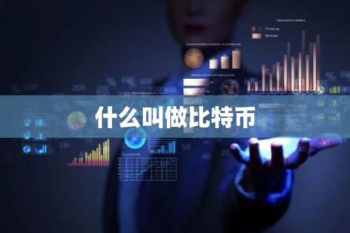 什么叫做比特币