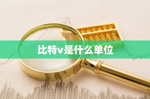 比特v是什么单位