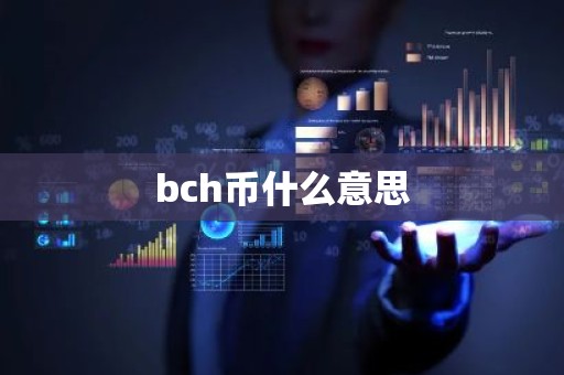 bch币什么意思