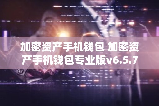 加密资产手机钱包 加密资产手机钱包专业版v6.5.7