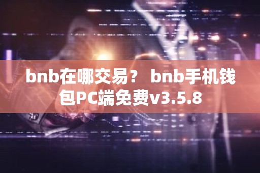 bnb在哪交易？ bnb手机钱包PC端免费v3.5.8