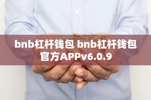 bnb杠杆钱包 bnb杠杆钱包官方APPv6.0.9