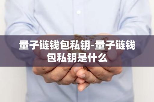 量子链钱包私钥-量子链钱包私钥是什么