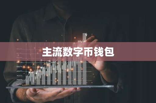 主流数字币钱包