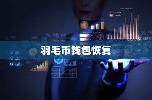 羽毛币钱包恢复