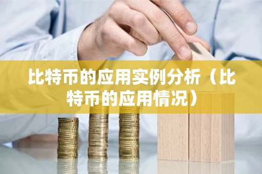 比特币的应用实例分析（比特币的应用情况）