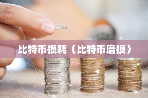 比特币损耗（比特币磨损）