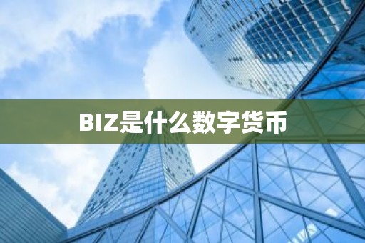 BIZ是什么数字货币