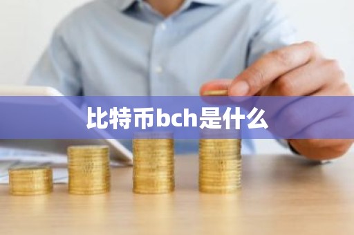 比特币bch是什么