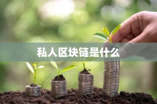 私人区块链是什么