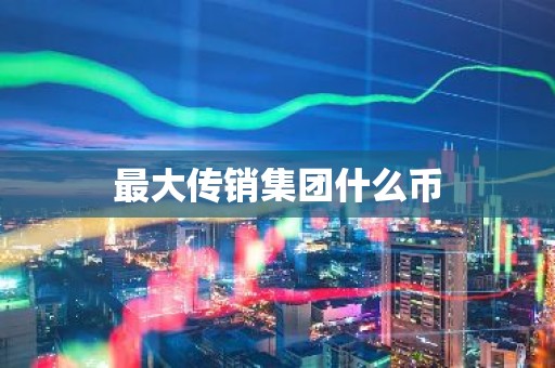 最大传销集团什么币