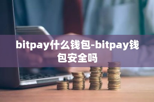 bitpay什么钱包-bitpay钱包安全吗