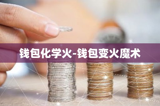 钱包化学火-钱包变火魔术