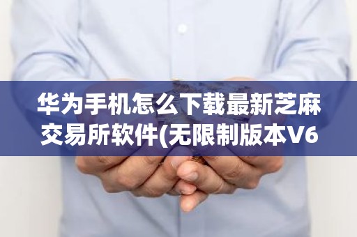 华为手机怎么下载最新芝麻交易所软件(无限制版本V6.4.67)_安卓版芝麻交易所