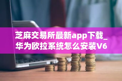 芝麻交易所最新app下载_华为欧拉系统怎么安装V6.1.12