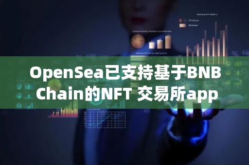 OpenSea已支持基于BNB Chain的NFT 交易所app下载