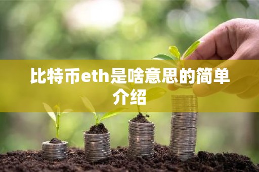 比特币eth是啥意思的简单介绍