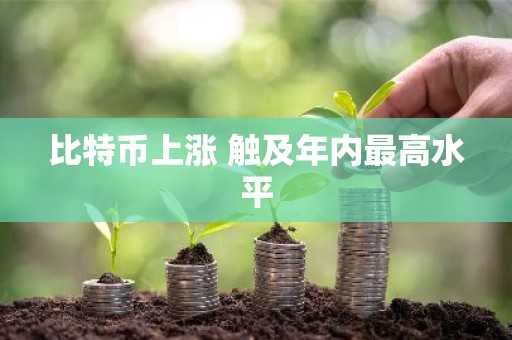 比特币上涨 触及年内最高水平
