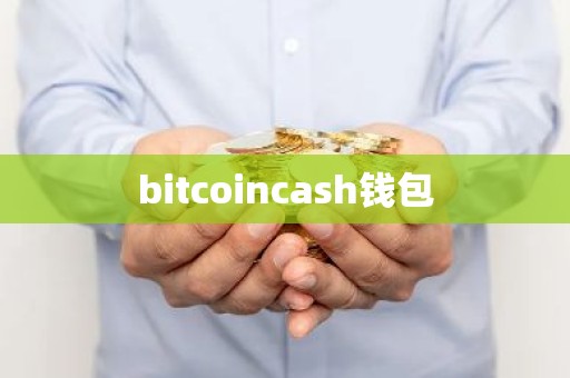 bitcoincash钱包