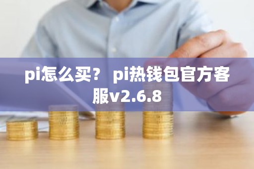 pi怎么买？ pi热钱包官方客服v2.6.8